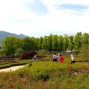 곡성 섬진강 기차마을 이미지