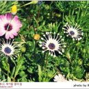 상상톡톡 미술관 - 22252 | 상상톡톡 미술관