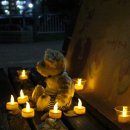 프로포즈 벤치 이미지