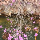 들성로-8 이미지