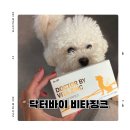 아이러브비타 | 강아지 종합영양제 닥터바이 비타징크 급여 후기 우리 아이 요즘 컨디션 관리템
