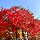 나들이공원 배드민턴장 이미지