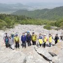 달마고도 이미지