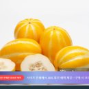 (장봐주는언니) 제철과일