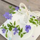 세라케이크 sera cake