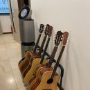 토브실용음악학원 - 남구 봉선로79번길 2 | 토브실용음악학원