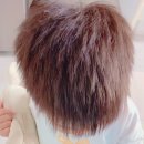 상촌농장 이미지