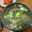 대가 신 물회 이미지