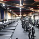 강남-171 이미지