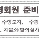 영스포츠타운