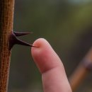 오리하나로약국 이미지