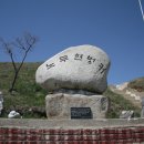 인동초분식