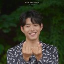 대니헤어 이미지