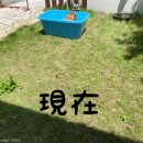 대야2로 이미지