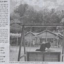 동성기획 Daum카페