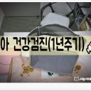 여수 죽림 동물병원 이미지