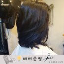 영대동물병원 | 대구 여자펌 잘하는 곳, 대명동 영대병원역 미용실 헤어준영
