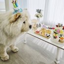 빵순돌이네 하우스 이미지