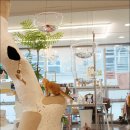 701아를고양이카페(cat in the art) 이미지