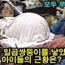 20년 전 일곱쌍둥이를 낳았던 부부와 그 아이들은 어떻게 됐을까?~ ‘생일이 서로 다른 네쌍둥이’ ~ 이미지