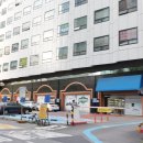 장수장어 이미지