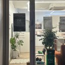 울산 속눈썹펌 이에스티뷰티 삼산달동점