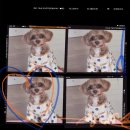 광주 본 동물병원 이미지