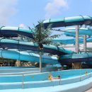 진양호캐리비안워터파크 이미지