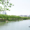 수원-1770 이미지