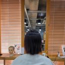 붙임머리,다채 | 지모헤어 홍대점 : 단발에서 18인치 긴 머리로 변신한 슬림땋기붙임머리 후기