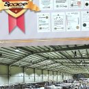 경남건재 | 우리 집 분위기 확 살리는 비결! 해운대커튼 명지커튼, 성공적인 선택 이야기예요