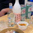 몸냥스테이 이미지
