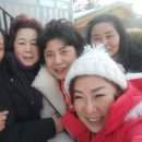 동화숲 이미지