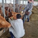 백신농장 이미지