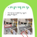 눈빛사 이미지