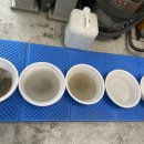 1988 모터스 이미지