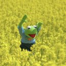 덕성여대점 이미지