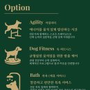 이평우 반려견 교육센터 | 광주 강아지 호텔링 후기｜P&amp;M반려견교육센터 애견호텔 내돈내산