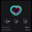 강가의 작은도시 | 스페인 포르투갈 패키지 DAY3｜세고비아 &amp; 사라고사 일정, 알카사르 성과 로마 수도교