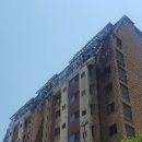 강남-261 이미지