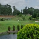 (주)고려여행 이미지