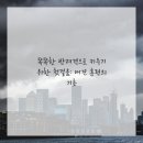 행복한강아지 이미지