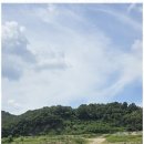 나무부동산중개 이미지