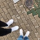 [운동화 리뷰] 스케쳐스 딜라이트 키즈 230 성인이 신어본 후기(사이즈팁)