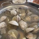 뻘낙지한마당