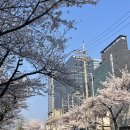 프로파일커피로스터스