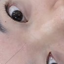 계양동 | 계양구속눈썹, 계양동속눈썹 쏭브로우