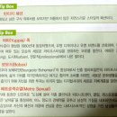 보보스패션