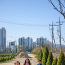 정을품은 펜션 이미지