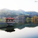 영상축산 이미지